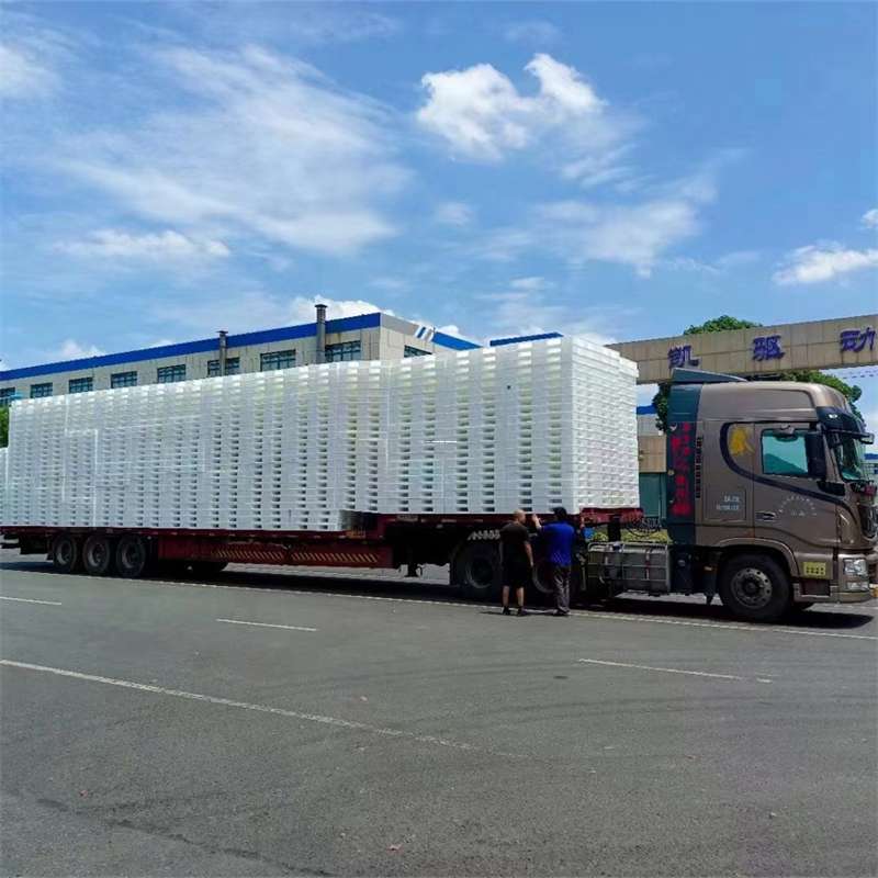 河南洛阳洛宁县到那曲物流公司一站式服务，满足您的各种物流需求